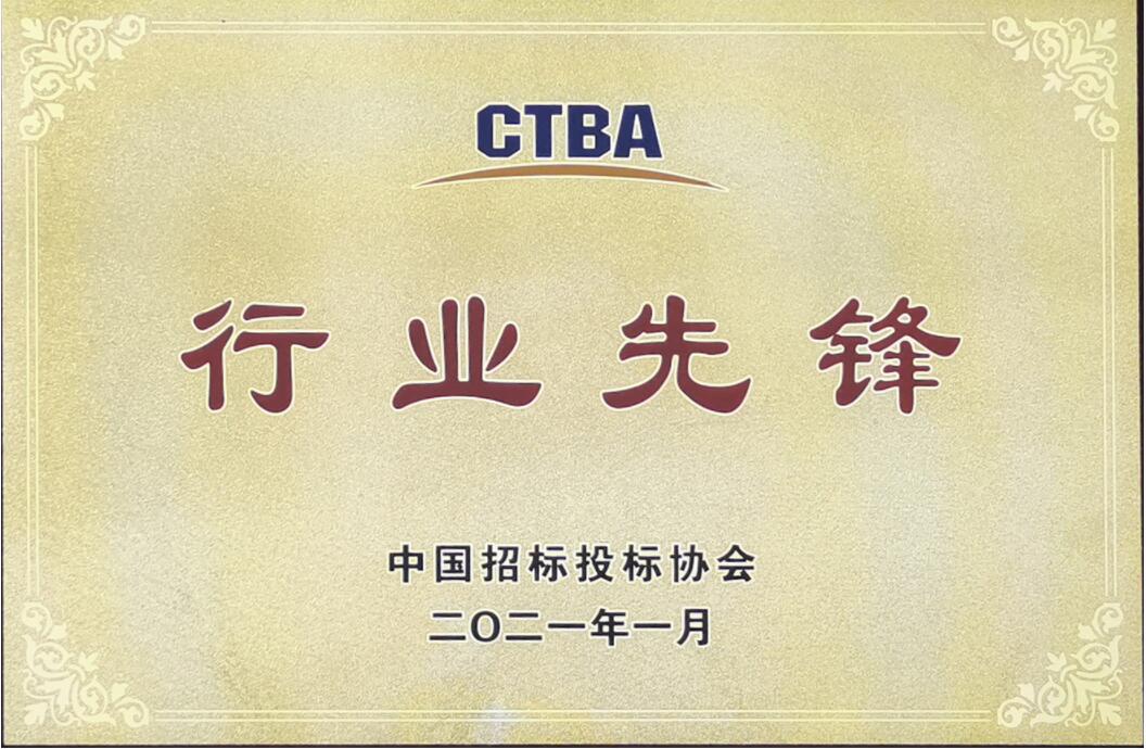 中國(guó)招標(biāo)投標(biāo)協(xié)會(huì)行業(yè)先鋒