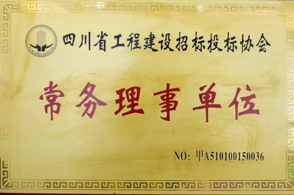 四川省工程建設(shè)招標(biāo)投標(biāo)協(xié)會(huì)常務(wù)理事單位